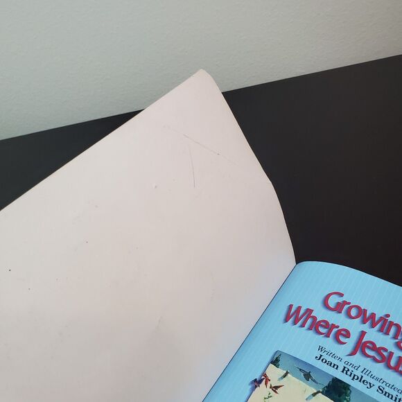 Abeka Homeschool 2nd Grade Readers (Lot Of 4) A Beka Books 2.2, 2.5, 2.6, 2.9 - Picture 13 of 13